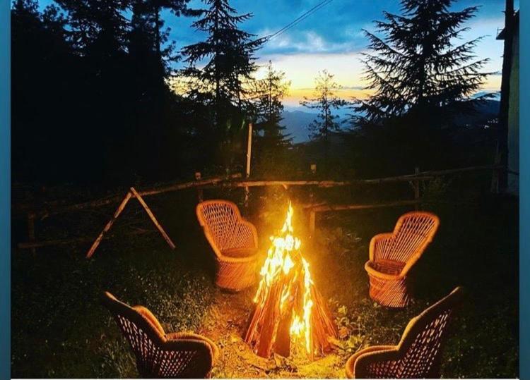 Nature Valley View Resort Manali 2 Bedrooms Luxury Cottages And Valley View Luaran gambar
